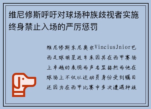 维尼修斯呼吁对球场种族歧视者实施终身禁止入场的严厉惩罚